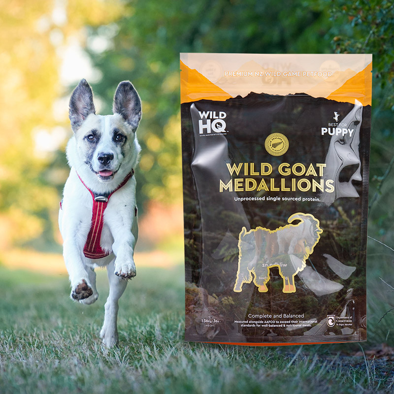 Farebná digitálna tlač šetrná k životnému prostrediu s nízkym vreckom na kávu